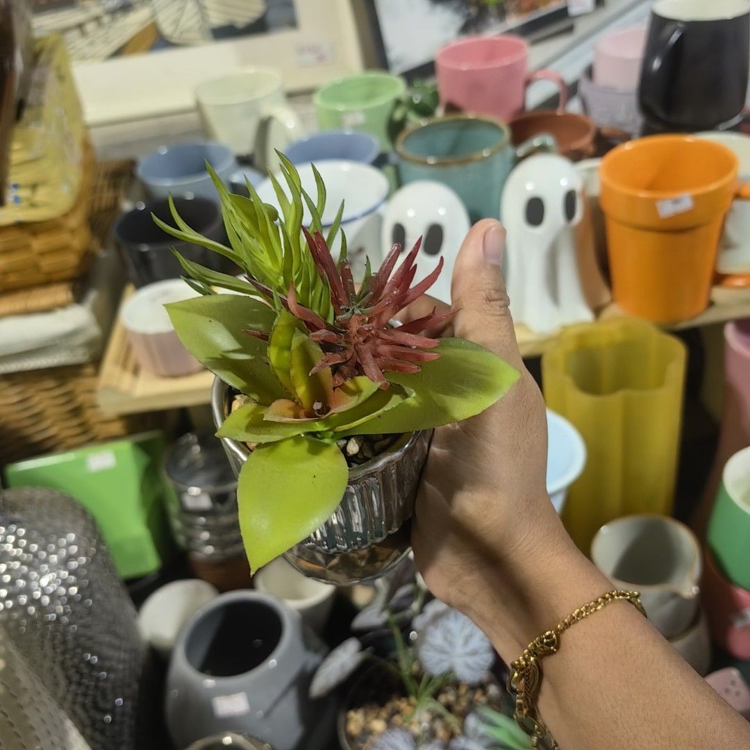 Chrome vase with plant (Category: Vases & Decorative Bowls) located in Calamba. Submitted by princesspauliney. (Listing ID 1466109243, Image 2). Description: Chrome vase with faux plant. Calamba laguna Shoppee check out Jnt direct courier First to pay basis.