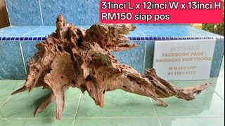 (Category: ) located in . Submitted by driftwood_hiasan (Listing ID 1466028604, Image 1). Description: .
