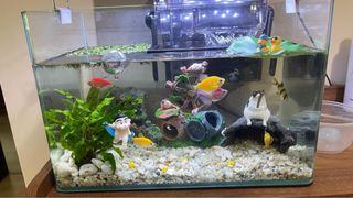 (Category: ) located in . Submitted by ashhull (Listing ID 1465964276, Image 1). Description: .