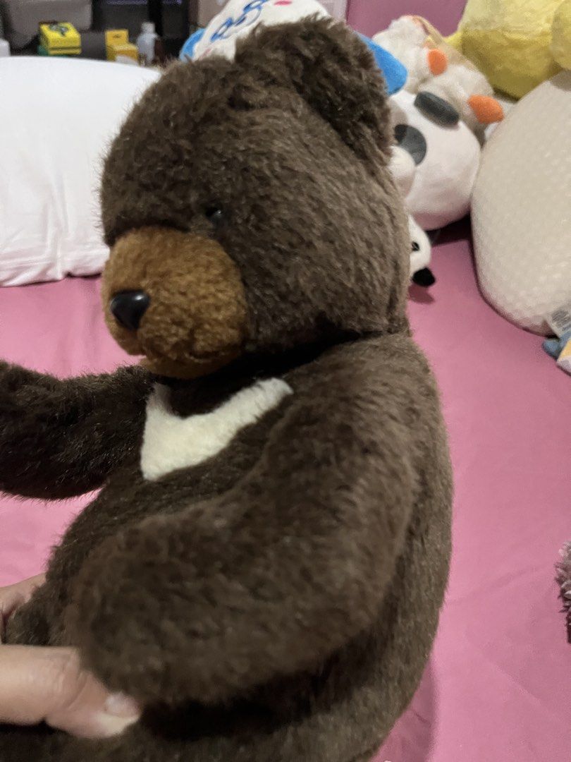 Grizzly bear plush (Category: Plushies & Soft Toys) located in Paranaque City. Submitted by bonsaiart (Listing ID 1466043912, Image 3). Description: Pre owned Good condition 350+sf Payment via gcash or paymaya Shipping via j&t No to cop / cod / meetup.