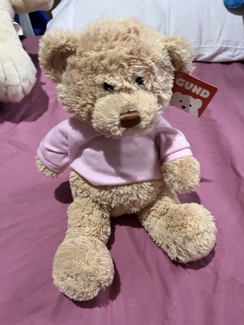 GUND TEDDYBEAR PINK PLUSH (Category: Plushies & Soft Toys) located in Paranaque City. Submitted by bonsaiart (Listing ID 1466042277, Image 1). Description: Brand new w tag+sf Payment via gcash or paymaya Shipping via j&t No to cop / cod / meetup.