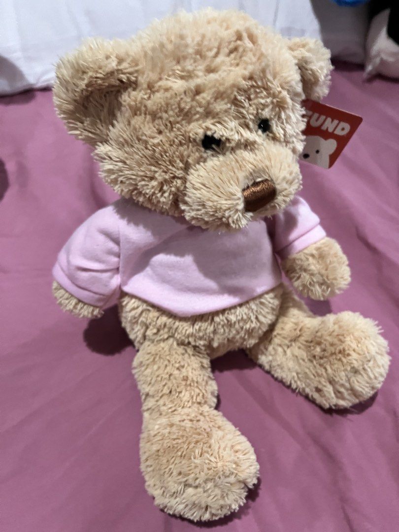GUND TEDDYBEAR PINK PLUSH (Category: Plushies & Soft Toys) located in Paranaque City. Submitted by bonsaiart (Listing ID 1466042277, Image 2). Description: Brand new w tag+sf Payment via gcash or paymaya Shipping via j&t No to cop / cod / meetup.