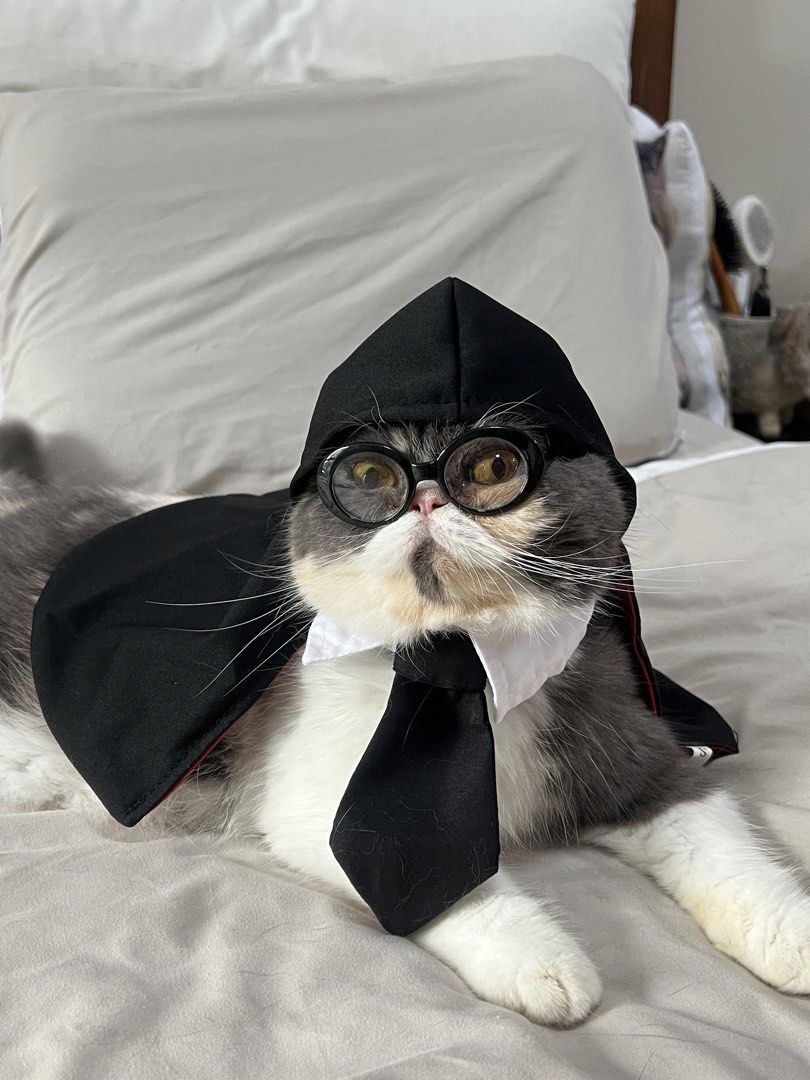 Harry Potter Pet Costume (Category: Homes & Other Pet Accessories) located in Quezon City. Submitted by meowketplace (Listing ID 1465987136, Image 2). Description: Cape and necktie (glasses not included) Size: Small Used for photos and videos only RFS: Decluttering.