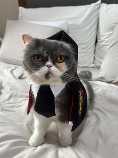 (Category: ) located in . Submitted by meowketplace (Listing ID 1465987136, Image 1). Description: .