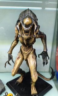 (Category: ) located in . Submitted by kyoto19978 (Listing ID 1466155265, Image 1). Description: .