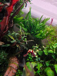 (Category: ) located in . Submitted by shaunhcy (Listing ID 1466131310, Image 1). Description: .