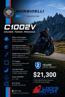 Morbidelli Motorcycles 收藏品 2