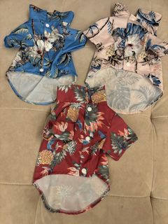(Category: ) located in . Submitted by ethate (Listing ID 1466106065, Image 1). Description: .