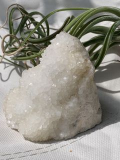 （分類：）位於 。 由 crystal_tree_99 提交（商品編號 1466195082，圖片 1）。簡介： 。