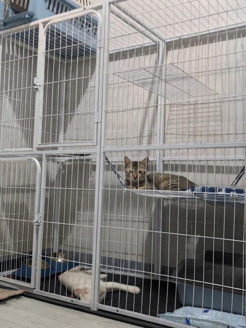 Cat Cage 3Layer White 142x54x130cm (Category: Homes & Other Pet Accessories) located in Makati City. Submitted by shiennnnn6578 (Listing ID 1466179403, Image 1). Description: - Item: Large 3-layer white cat cage - Dimensions: 142 x 54 x 130 cm - Material: Sturdy wire metal construction - Inclusions: Wire shelves - Condition: Like new, assembled and used for almost 3 months - Reason for selling: Too big for current space MOP : Maya/BPI SF should b