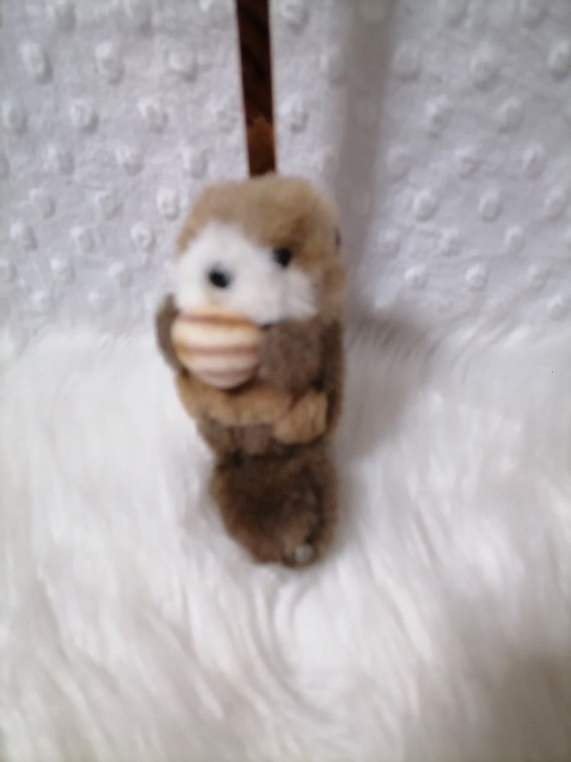 Cute Plush Sea Otter Stuffed Keychain (Category: Other Accessories) located in Butuan. Submitted by az-branded.items (Listing ID 1466335616, Image 1). Description: Authentic item From Japan.