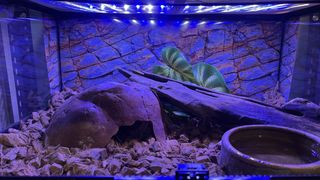(Category: ) located in . Submitted by hdarwisy604296 (Listing ID 1466329857, Image 1). Description: .