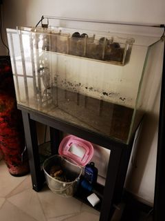 (Category: ) located in . Submitted by 5ticks (Listing ID 1466178071, Image 1). Description: .
