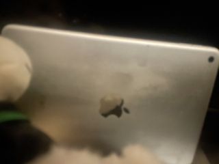（分類：）位於 。 由 custudentpoor8964 提交（商品編號 1466161605，圖片 1）。簡介： 。