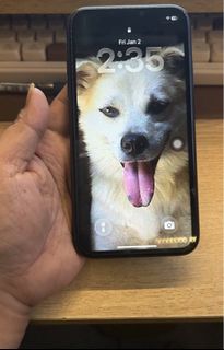 (Category: ) located in . Submitted by jhajhanebi20703 (Listing ID 1466312135, Image 1). Description: .
