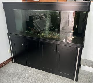 (Category: ) located in . Submitted by thomasquak (Listing ID 1466156479, Image 1). Description: .