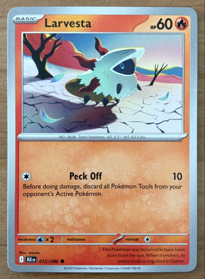 Larvesta | Pokemon Cards ~ Black Bolt (Category: Raw Singles) located in Makati City. Submitted by cardlab (Listing ID 1466167550, Image 1). Description: Items are 💯 authentic/original/legit. About The Card: •Language: EN • Number: 015/086 • Common • Normal FOR: • Cards ₱99 and below with Card Sleeves • Cards ₱100 and up with Card Sleeves and Used Toploader • ₱10 for Bnew Tops Packaging (If Shipping): ✔️ Plastic cover ✔️ Cardboard ✔️ Bubble wrap