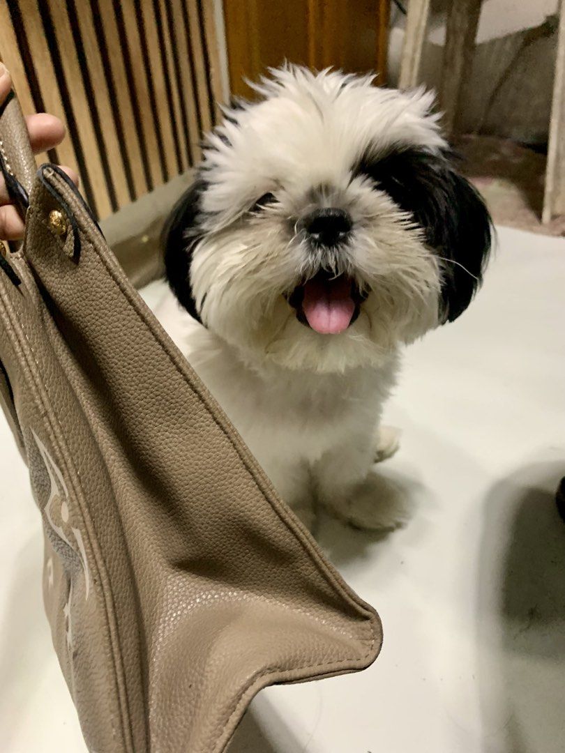 LV Mini On-The-Go (Category: Purses & Pouches) located in General Santos City (Dadiangas). Submitted by h_thrift_luxxe (Listing ID 1466255614, Image 3). Description: Very cute mini on the go LV. Coded. No flaws. Missing sling. .