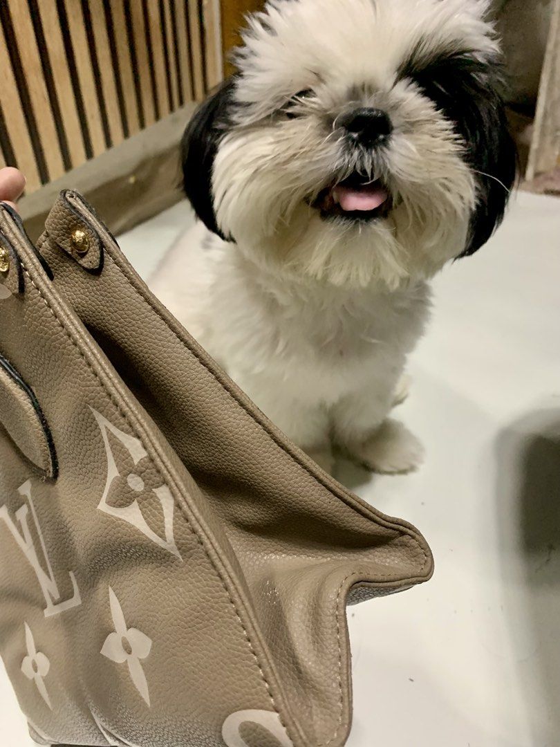 LV Mini On-The-Go (Category: Purses & Pouches) located in General Santos City (Dadiangas). Submitted by h_thrift_luxxe (Listing ID 1466255614, Image 2). Description: Very cute mini on the go LV. Coded. No flaws. Missing sling. .