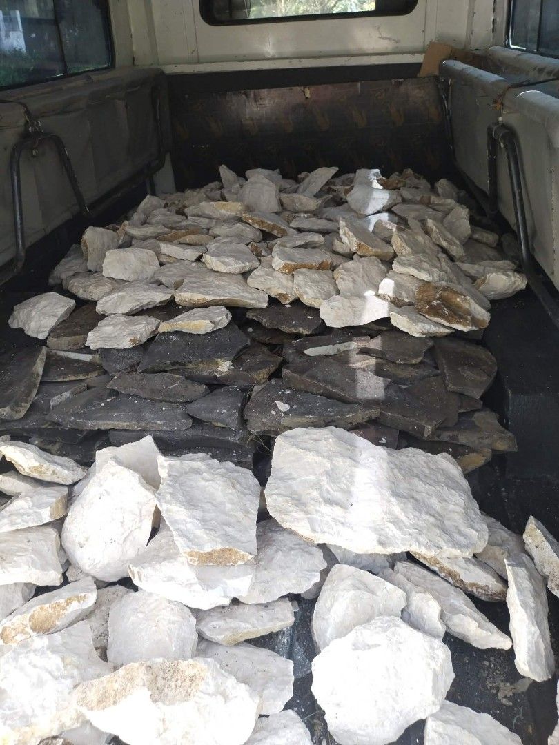 Natural flat stones for wall cladding and landscaping (Category: Construction & Building Materials) located in Manila. Submitted by wildwater_6905b4 (Listing ID 1466301547, Image 3). Description: - Material: Flat natural stones with irregular shapes and varying thickness - Colors: Mix of light grey, white, and dark earthy tones - Ideal For: Exterior wall cladding, accent walls, and garden pathways - Condition: Sourced and loaded in a transport ve