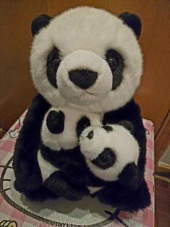 （分類：）位於 。 由 happydingdong 提交（商品編號 1466246114，圖片 1）。簡介： 。