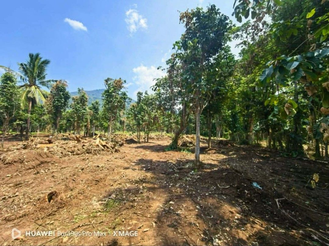Property for sale (Category: Lot) located in Bacoor. Submitted by _essentials (Listing ID 1466269659, Image 1). Description: MINI FARM NA TAHIMIK, MAALIWALAS AT SARIWANG HANGIN, ALAM KONG ETO ANG HINAHANAP MO‼️‼️‼️ 270K MO GAWIN NATIN 100 SQM NA MINI FARM❤️ ( PWEDE ANG HULUGAN ) BRGY LAMOT CALAUAN LAGUNA ALONG CEMENTED BRGY ROAD 6 MINUTES DRIVE OR 1.7 KILOMETERS AWAY TO PROVINCIAL HIGHWAY CLEAN TITLE AND FLAT LAND LANSONESAN FARM 8 METERS MACADAM