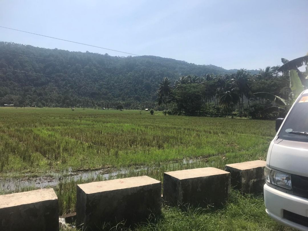 Rice Field (Category: Lot) located in Quezon City. Submitted by brendag67 (Listing ID 1466200916, Image 3). Description: For sale rice field along the high-way. 2 parcel of lands composing 23,545sqm and 19,872sqm lLocated at Brgy. Casingpitan. Gingoog City Total SQM 43,326 for 2 parcel.