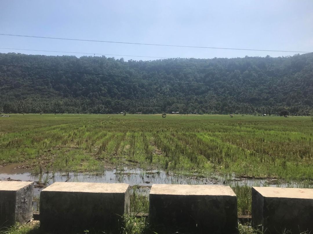 Rice Field (Category: Lot) located in Quezon City. Submitted by brendag67 (Listing ID 1466200916, Image 1). Description: For sale rice field along the high-way. 2 parcel of lands composing 23,545sqm and 19,872sqm lLocated at Brgy. Casingpitan. Gingoog City Total SQM 43,326 for 2 parcel.