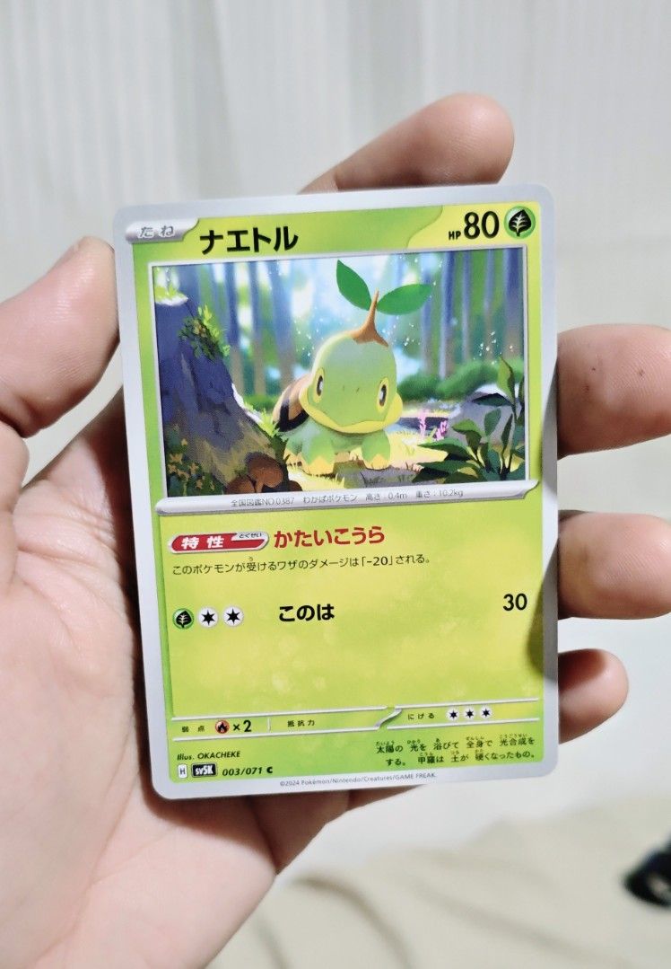 Turtwig Pokemon Card (Category: Raw Singles) located in Manila. Submitted by yourfavoritethings7 (Listing ID 1466250107, Image 1). Description: .