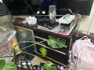 （分類：）位於 。 由 littleshopaholicgirl 提交（商品編號 1466322782，圖片 1）。簡介： 。
