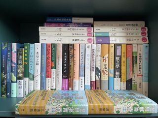 （分類：）位於 。 由 sunflowers_store 提交（商品編號 1466439080，圖片 1）。簡介： 。