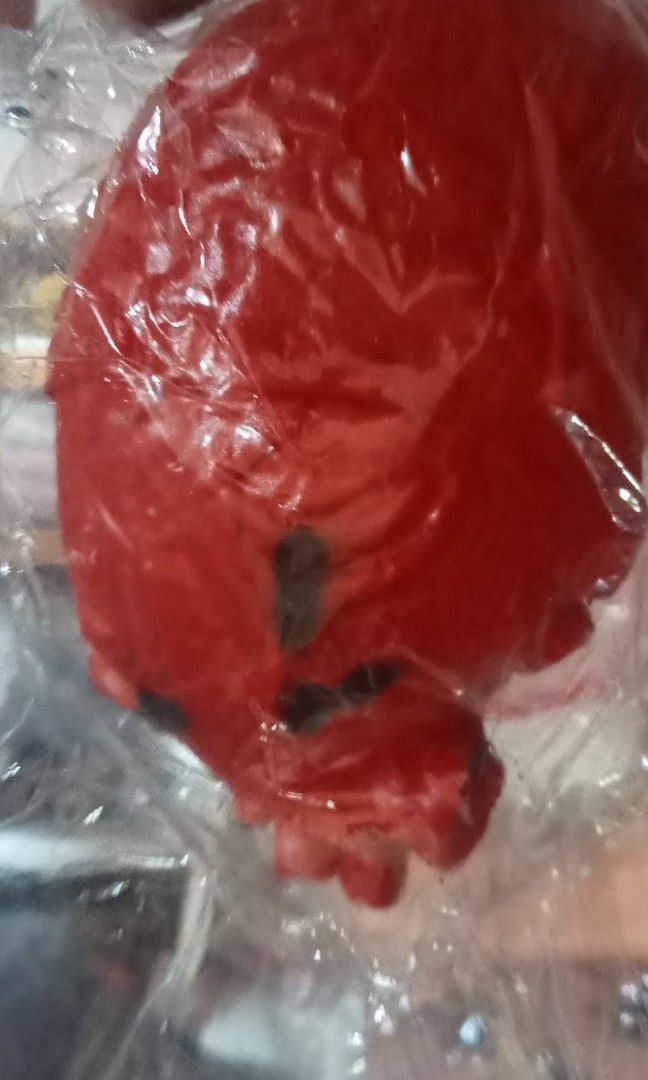 Assorted holloween accessories (Category: Everything Else Others) located in Paranaque City. Submitted by dimaguilaa94969 (Listing ID 1466444962, Image 3). Description: assorted silence of the lambs, muster piggy, etc... pm if int 09981762076.