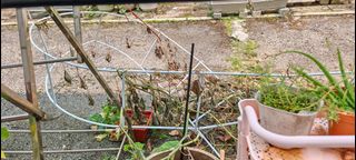 (Category: ) located in . Submitted by ziziko (Listing ID 1466373857, Image 1). Description: .