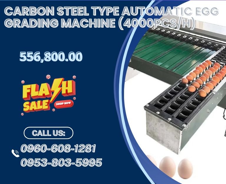 carbon steel type Automatic Egg grading machine (4000pcs/h) (Category: Everything Else Others) located in Caloocan City. Submitted by 09616968642 (Listing ID 1466353974, Image 1). Description: ●Model: HY-J2 ●Capacity: 4000pcs/h ●Material: Carbon steel ●Precision: ±0.5g ●Grade: 7 ●Power: 200W ●Voltage: 220V ●Length* Width* Height: 1438*1320*980(mm) ●Gross Weight: 200KG ●Net Weight: 160KG ●Function Grading eggs by weight .
