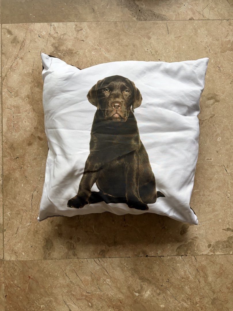 Chocolate Labrador Puppy Throw Pillow (Category: Cushions & Throws) located in Quezon City. Submitted by tidyup.lara (Listing ID 1466354708, Image 1). Description: Sold as is Approx 40 x 40cm Condition 8/10: used but in good condition .