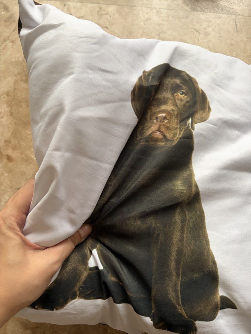 Chocolate Labrador Puppy Throw Pillow (Category: Cushions & Throws) located in Quezon City. Submitted by tidyup.lara (Listing ID 1466354708, Image 2). Description: Sold as is Approx 40 x 40cm Condition 8/10: used but in good condition .