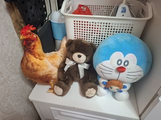 （分類：）位於 。 由 bolddog_b5506b 提交（商品編號 1466478457，圖片 1）。簡介： 。