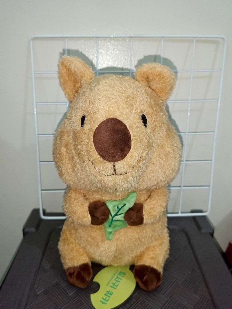 Cute Quokka with leaf Plush Toy (Category: Plushies & Soft Toys) located in Pasig City. Submitted by sleepyfairy (Listing ID 1466407527, Image 1). Description: message me if you have questions about the item 🫶🏻 shipping fee shouldered by buyer 🩷.