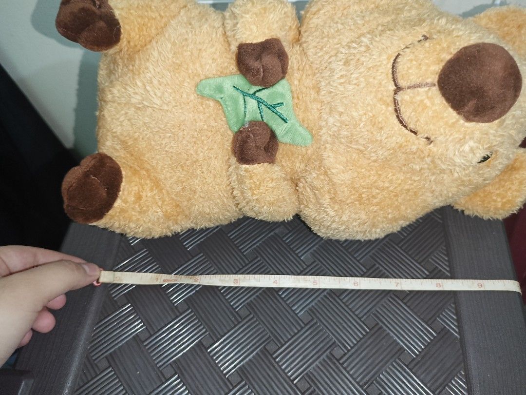 Cute Quokka with leaf Plush Toy (Category: Plushies & Soft Toys) located in Pasig City. Submitted by sleepyfairy (Listing ID 1466407527, Image 3). Description: message me if you have questions about the item 🫶🏻 shipping fee shouldered by buyer 🩷.