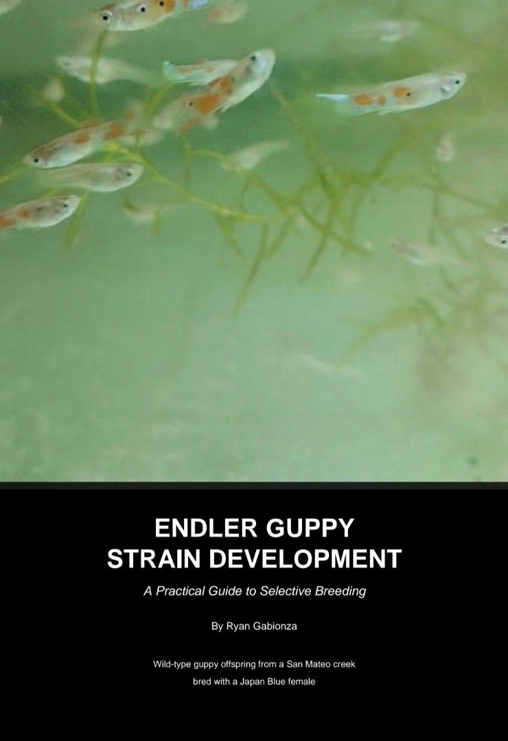 Endler Guppy Strain Development Practical Guide (Category: Textbooks) located in San Mateo. Submitted by rggnzales066300 (Listing ID 1466539822, Image 1). Description: 📘 NEW EBOOK AVAILABLE! 🐟 ENDLER GUPPY STRAIN DEVELOPMENT A Practical Guide to Selective Breeding By Ryan Gabionza I created this ebook based on my own experience breeding and developing hybrid Endler strains through selective breeding. This book is for hobbyists, especially begin