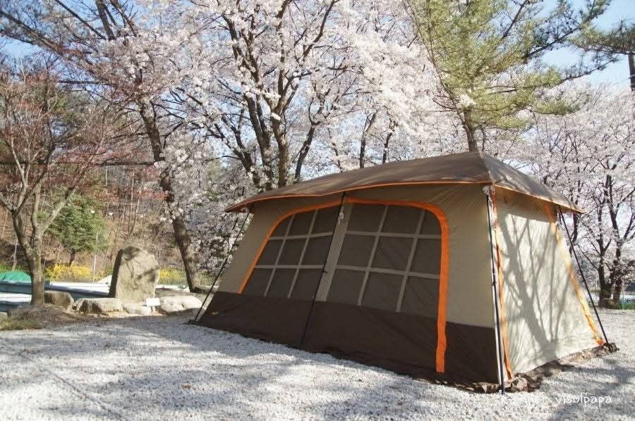 Family Camping Tent (Category: Hiking & Camping) located in Abucay. Submitted by cristineca20489 (Listing ID 1466557326, Image 2). Description: Spacious camping tent with brown and tan exterior tones. Multiple mesh window panels provide great ventilation throughout. Integrated awning creates a nice shaded outdoor seating space right at the front entrance. Heavy-duty poles and guy lines keep the whole setup completely stable on gravel or dirt grou
