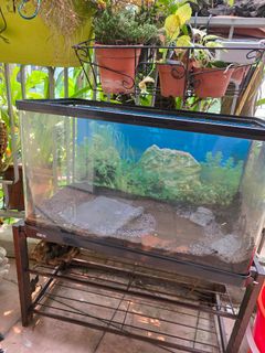 (Category: ) located in . Submitted by homegrower (Listing ID 1466360011, Image 1). Description: .