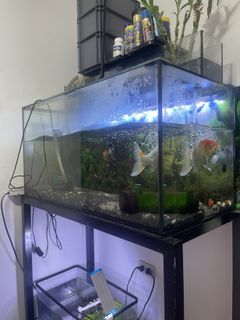 (Category: ) located in . Submitted by vamosycompra (Listing ID 1466428408, Image 1). Description: .