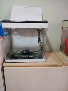 (Category: ) located in . Submitted by calmwolf.95f578 (Listing ID 1466366047, Image 1). Description: .