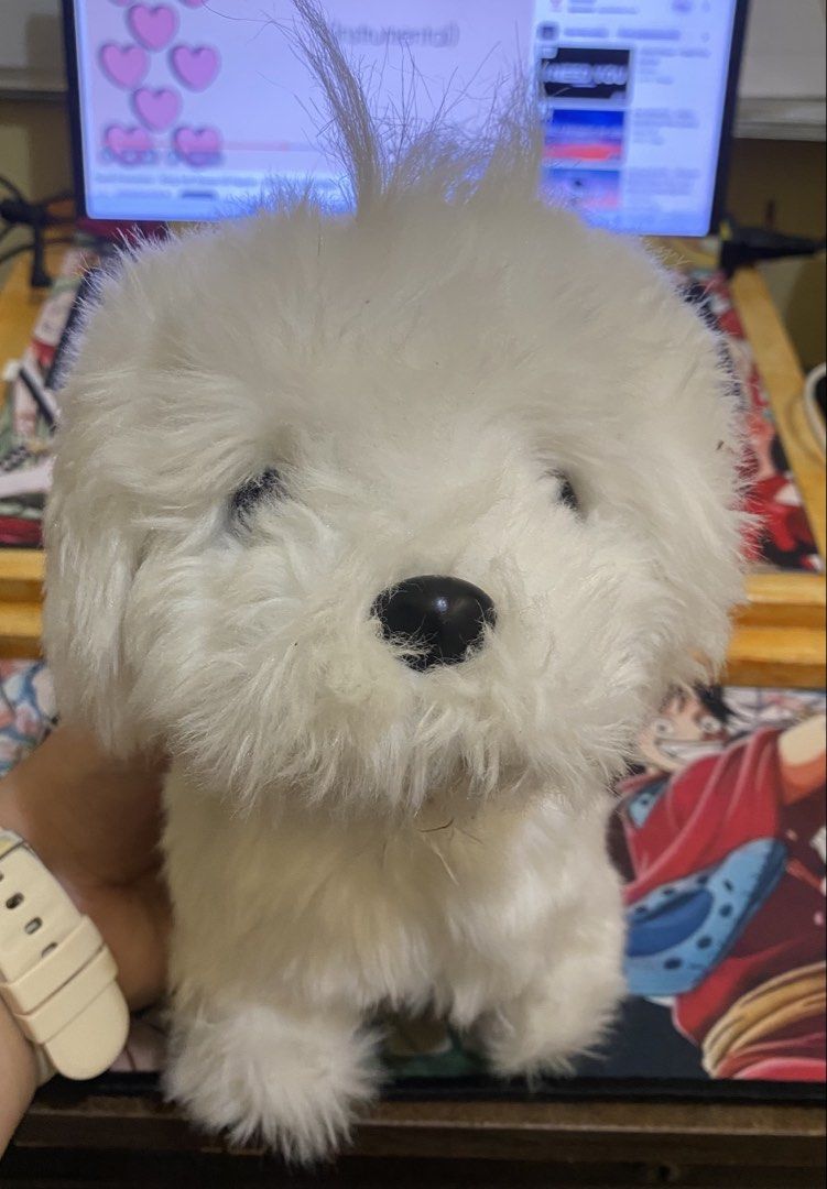 Interactive White Puppy Dog Electronic Plush Toy (Category: Plushies & Soft Toys) located in Baguio. Submitted by thrift_bonita (Listing ID 1466494346, Image 1). Description: - Adorable fluffy white toy puppy with a soft coat - Features a cute black button nose and a fluffy tail - Stands firmly on its own - Electronic functions powered by batteries (compartment underneath, date stamp 2022.09) - Clean, well-maintained condition -not tesdted if wor
