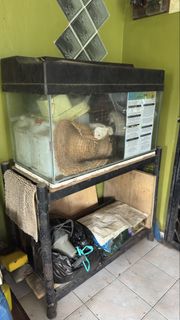 (Category: ) located in . Submitted by issukabelibarang (Listing ID 1466450061, Image 1). Description: .