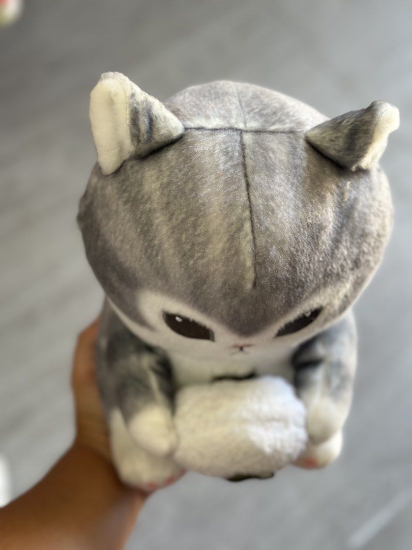 Mofusand Bento Nyan mascot medium (Category: Plushies & Soft Toys) located in Baguio. Submitted by cherylcaps95 (Listing ID 1466380393, Image 2). Description: Medium size Like new.