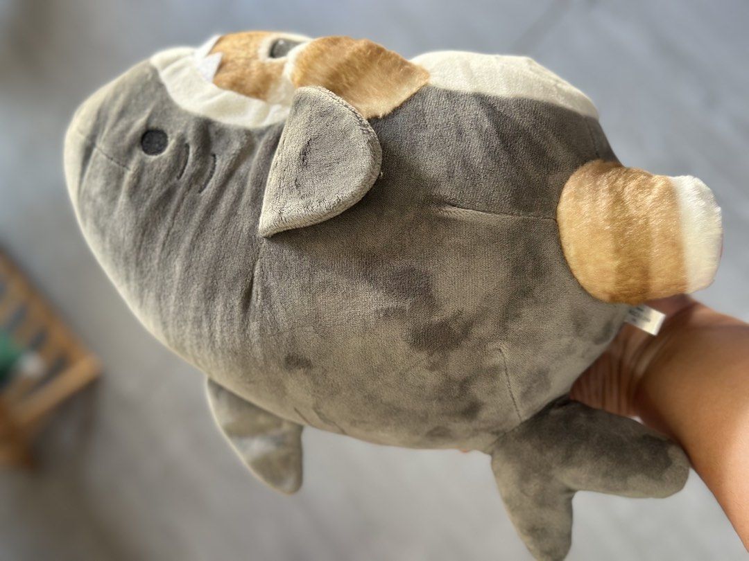 Mofusand Shark gray medium (Category: Plushies & Soft Toys) located in Baguio. Submitted by cherylcaps95 (Listing ID 1466379235, Image 2). Description: Good as new Medium size.
