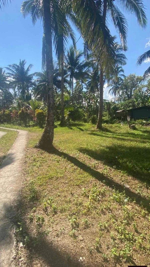 RESIDENTIAL FARM LOT (Category: House & Lot) located in Rizal. Submitted by mayra74 (Listing ID 1466354728, Image 2). Description: 🏚️Refreshing, sloped mountain terrain near Mt. Banahaw 🌾 Community: A quiet, close-knit rural haven perfect for a peaceful drive . Location: Majayjay Laguna 🏞️ FOR INVESTMENT / RETIREMENT House and LOT FOR SALE IN MAJAYJAY, LAGUNA. . 📍 PROPERTY DETAILS: 🤵 Direct to Owner 📐 Lot Area: 4,000 sqm 💵. P3,000/ Sqm Neg