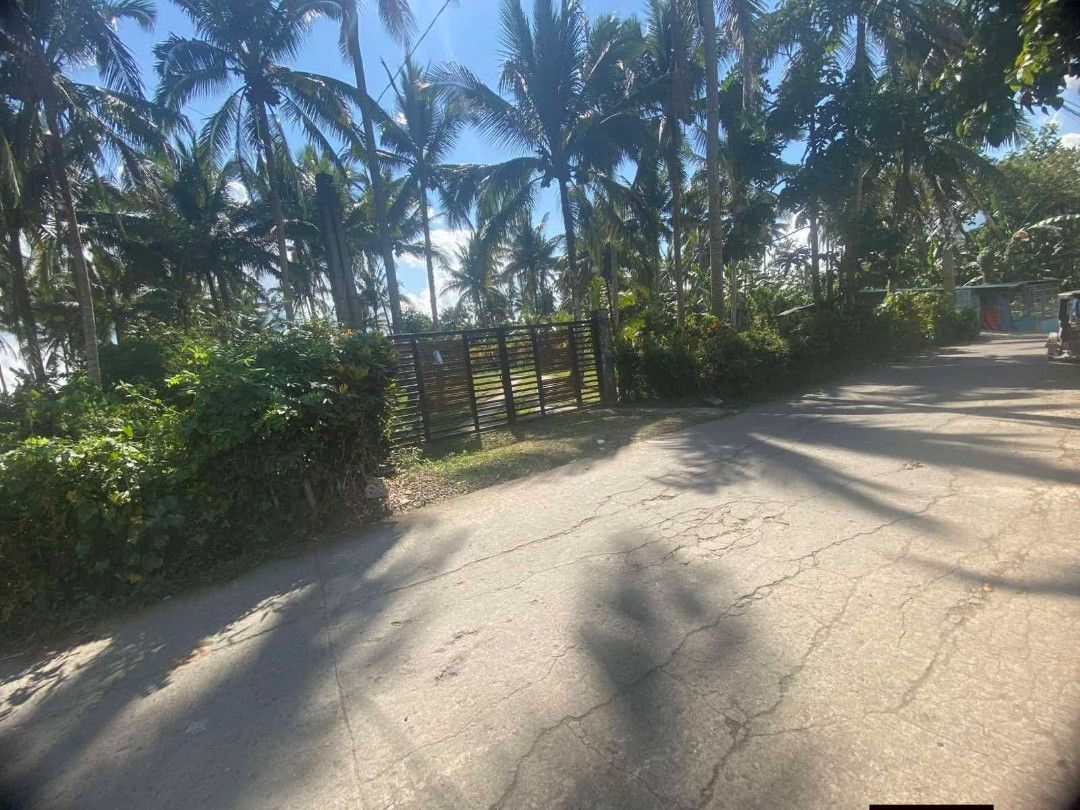 RESIDENTIAL FARM LOT (Category: House & Lot) located in Rizal. Submitted by mayra74 (Listing ID 1466354728, Image 1). Description: 🏚️Refreshing, sloped mountain terrain near Mt. Banahaw 🌾 Community: A quiet, close-knit rural haven perfect for a peaceful drive . Location: Majayjay Laguna 🏞️ FOR INVESTMENT / RETIREMENT House and LOT FOR SALE IN MAJAYJAY, LAGUNA. . 📍 PROPERTY DETAILS: 🤵 Direct to Owner 📐 Lot Area: 4,000 sqm 💵. P3,000/ Sqm Neg